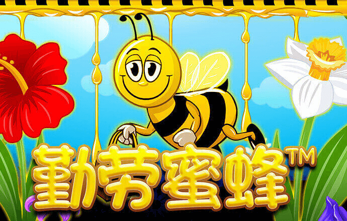 k体育官网入口登录